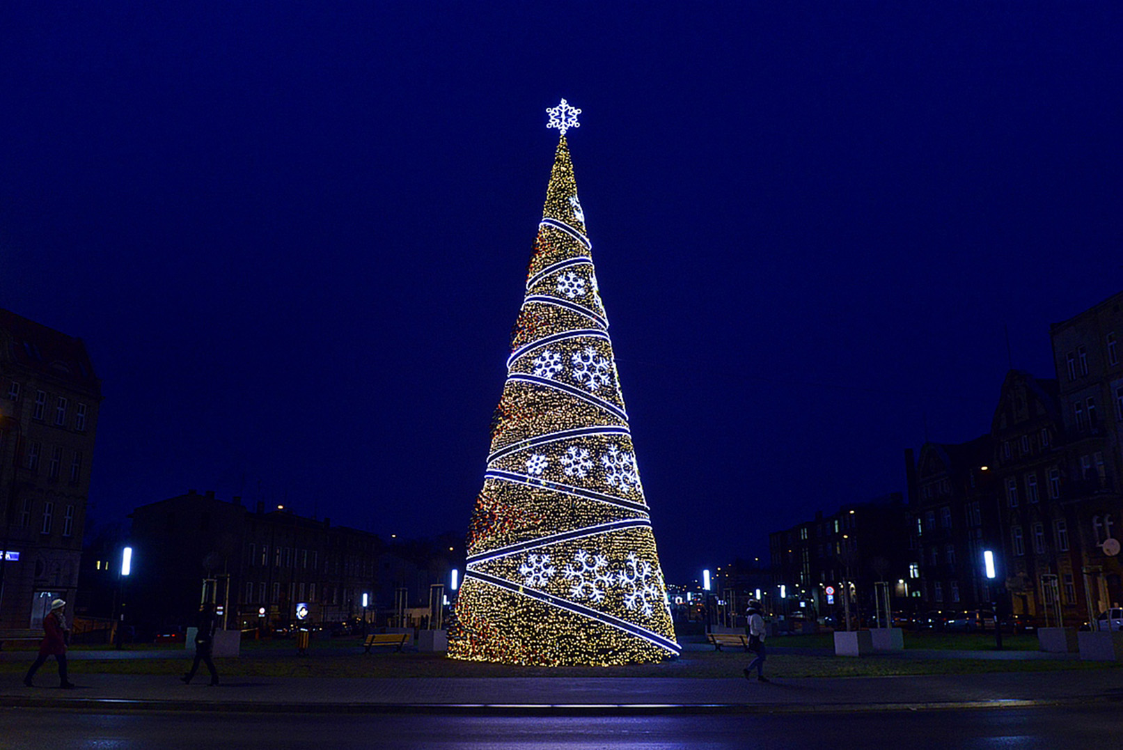 Ein riesiger Weihnachtsbaum für das Rathaus von Gliwice